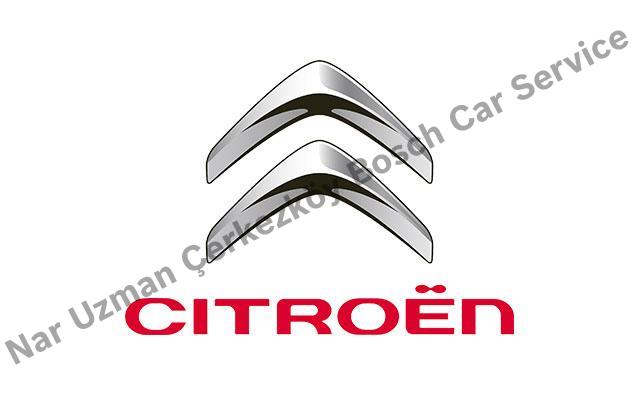 Tekirdağ Citroen servisi