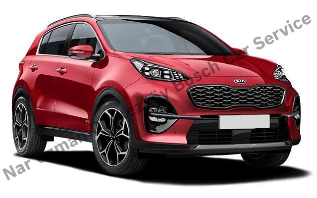 Tekirdağ Kia Servisi